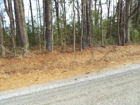 0 Dennis Drive Goose Creek SC 29445