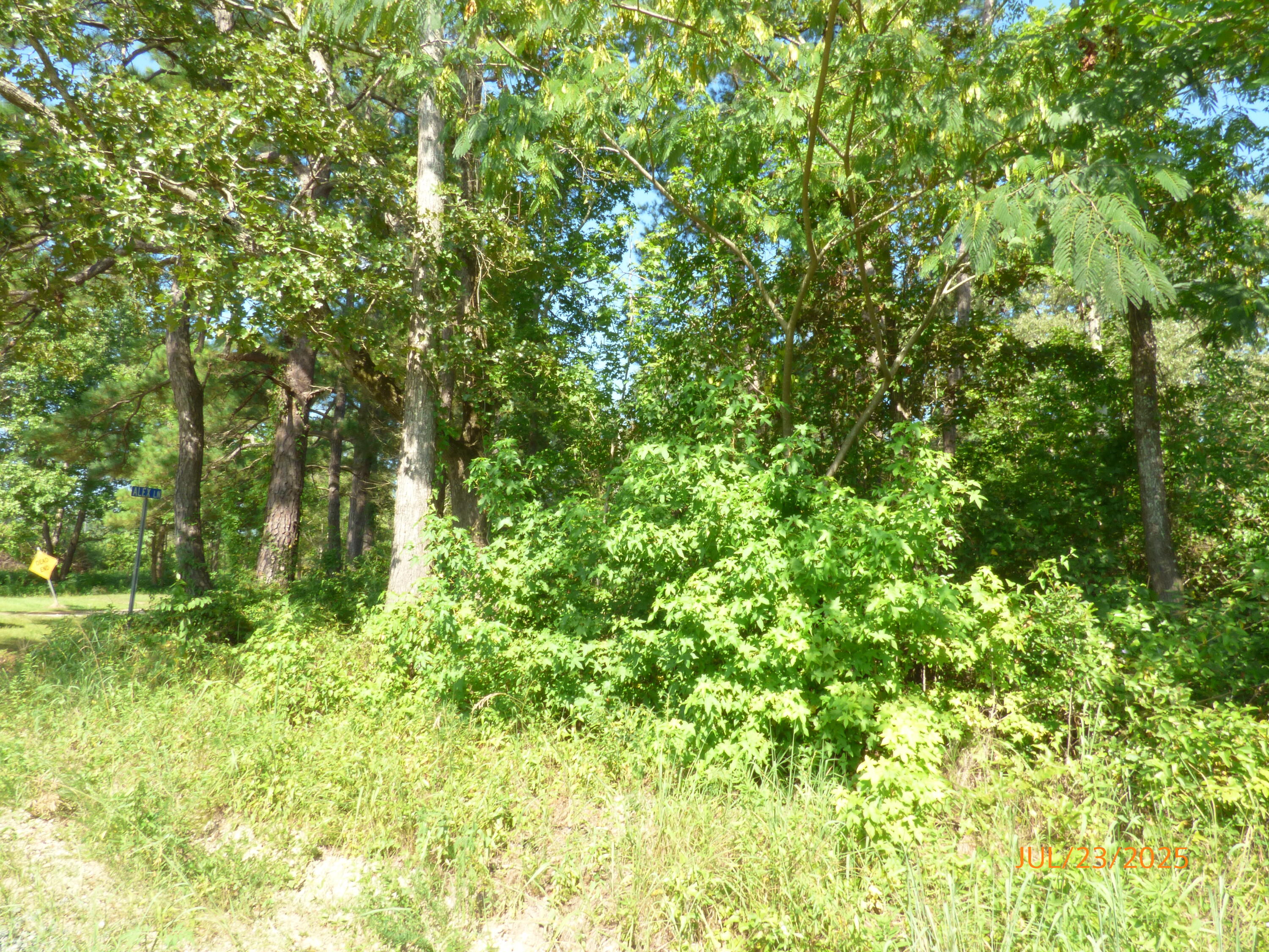 0 Big Woods Road Pineville SC 29468