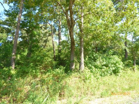 0 Big Woods Road Pineville SC 29468