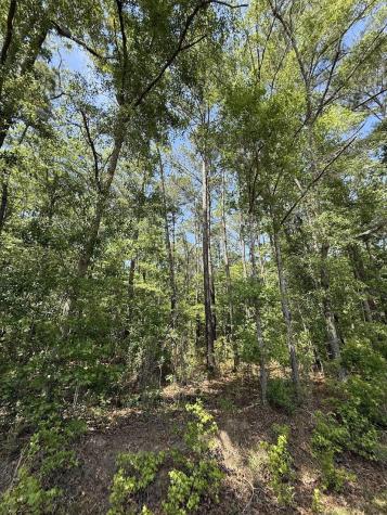 0 Moffett Road Hollywood SC 29449