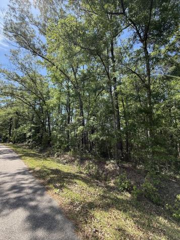 0 Moffett Road Hollywood SC 29449