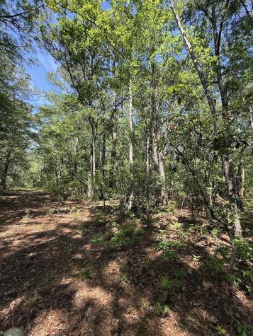 0 Moffett Road Hollywood SC 29449