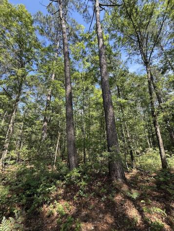 0 Moffett Road Hollywood SC 29449