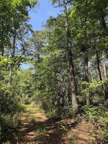 0 Moffett Road Hollywood SC 29449