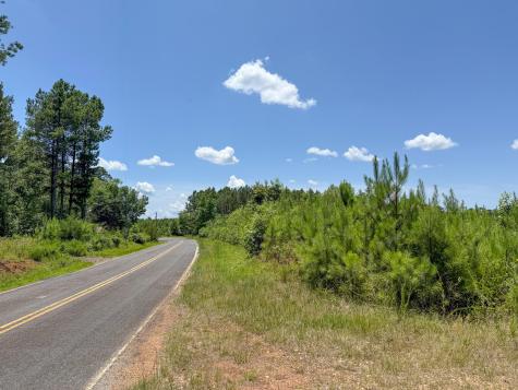 0 Ashford Ferry Road Chester SC 29706