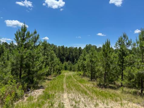 0 Ashford Ferry Road Chester SC 29706
