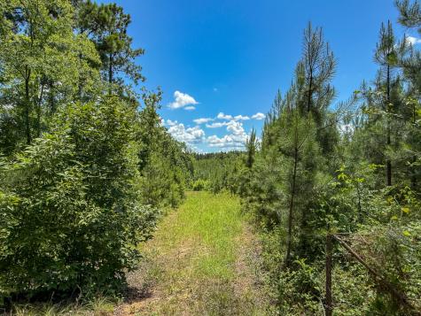 0 Ashford Ferry Road Chester SC 29706