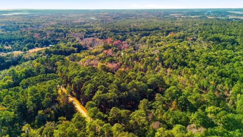 7783 Chaplin Garden Lane Edisto Island SC 29438