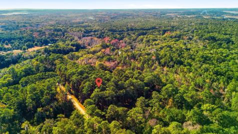 7783 Chaplin Garden Lane Edisto Island SC 29438