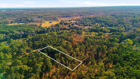 7783 Chaplin Garden Lane Edisto Island SC 29438