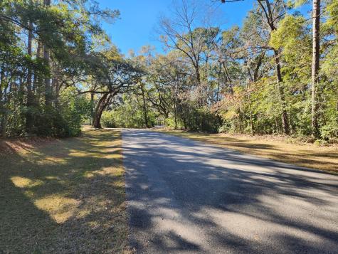 88 Tomotley Barony Drive Seabrook SC 29940