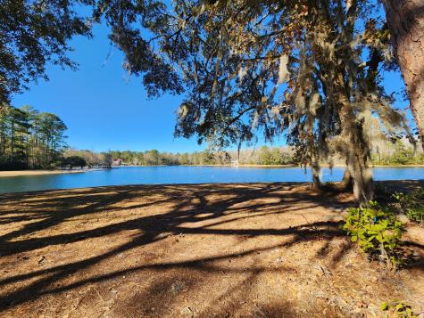 88 Tomotley Barony Drive Seabrook SC 29940