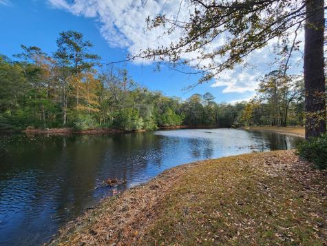 88 Tomotley Barony Drive Seabrook SC 29940