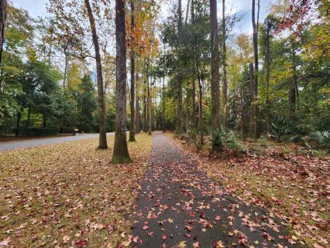 88 Tomotley Barony Drive Seabrook SC 29940