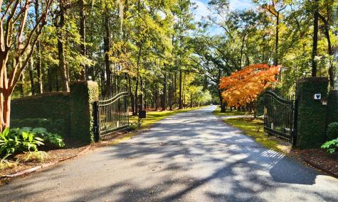88 Tomotley Barony Drive Seabrook SC 29940
