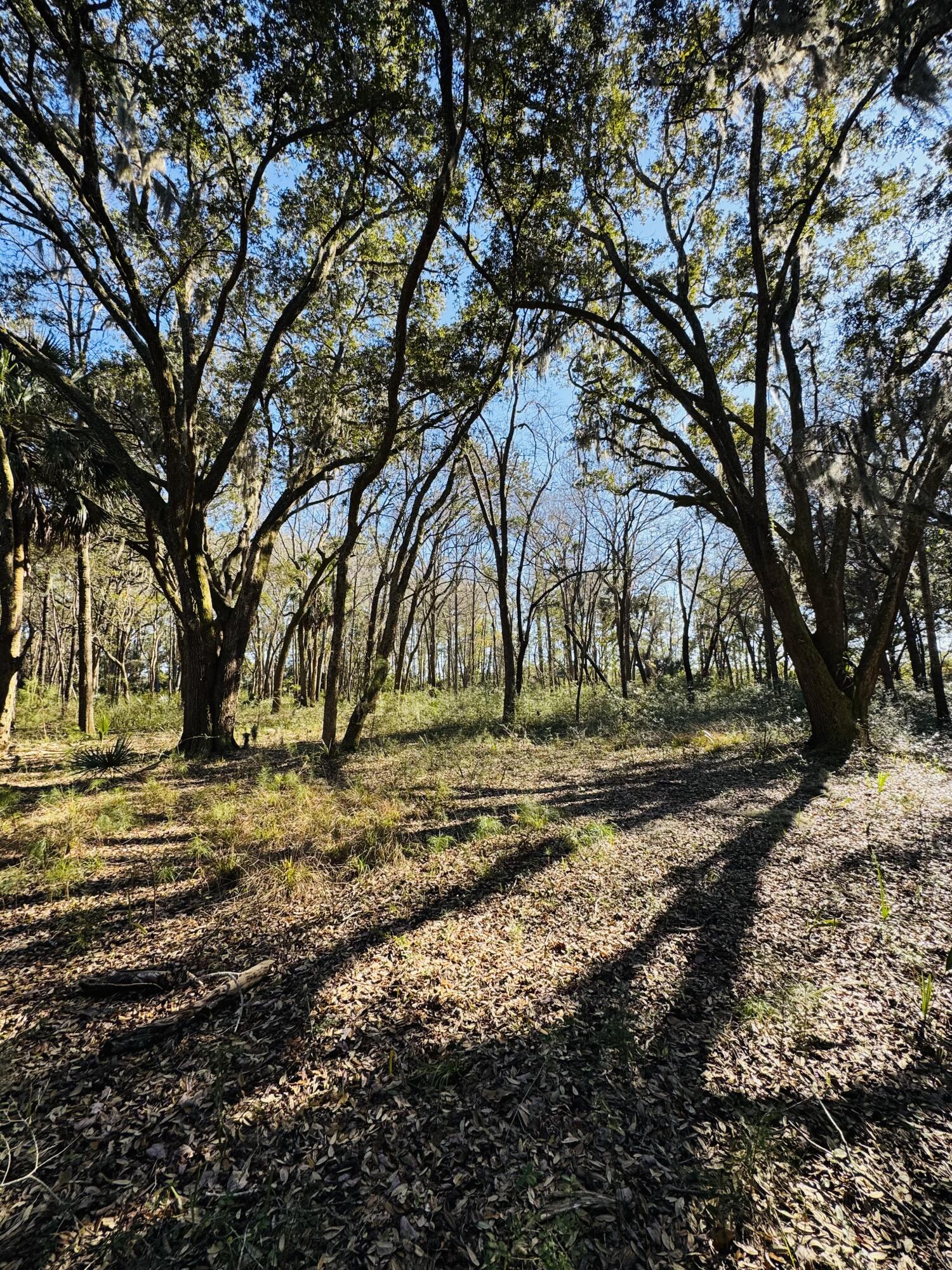 00 Rosa Scott Road Edisto Island SC 29438