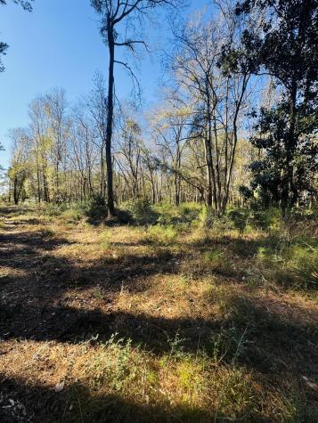 00 Rosa Scott Road Edisto Island SC 29438