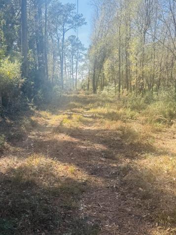 00 Rosa Scott Road Edisto Island SC 29438