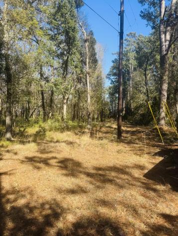 00 Rosa Scott Road Edisto Island SC 29438
