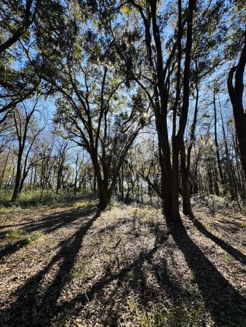00 Rosa Scott Road Edisto Island SC 29438