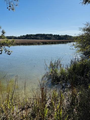00 Rosa Scott Road Edisto Island SC 29438