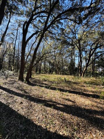 00 Rosa Scott Road Edisto Island SC 29438