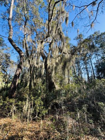 00 Rosa Scott Road Edisto Island SC 29438