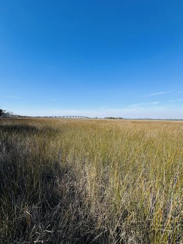 00 Rosa Scott Road Edisto Island SC 29438