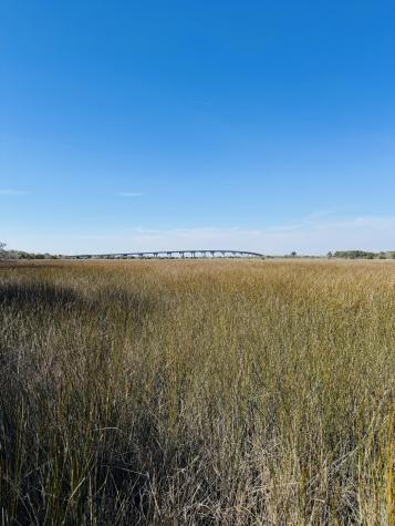 00 Rosa Scott Road Edisto Island SC 29438
