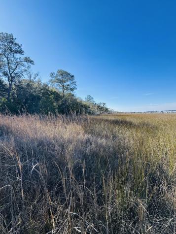 00 Rosa Scott Road Edisto Island SC 29438