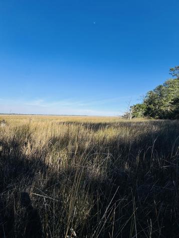 00 Rosa Scott Road Edisto Island SC 29438