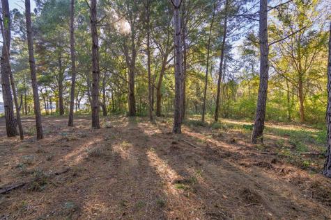8356 Crooked Creek Lane Edisto Island SC 29438