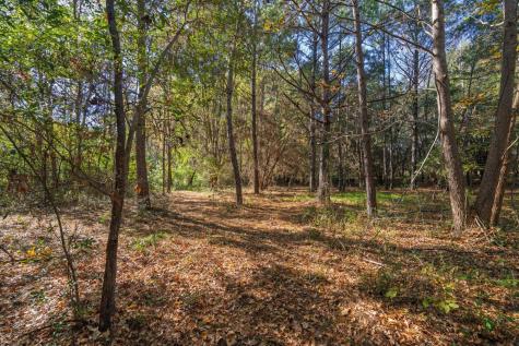 8356 Crooked Creek Lane Edisto Island SC 29438