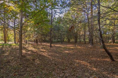 8356 Crooked Creek Lane Edisto Island SC 29438