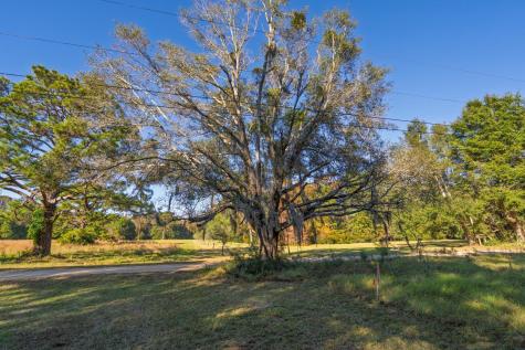 8356 Crooked Creek Lane Edisto Island SC 29438