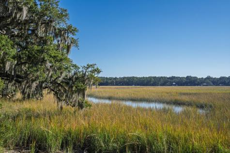 8356 Crooked Creek Lane Edisto Island SC 29438