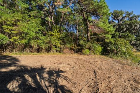 8356 Crooked Creek Lane Edisto Island SC 29438