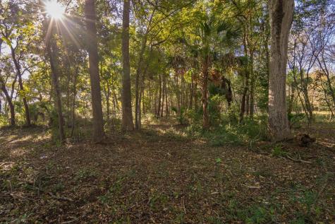 8356 Crooked Creek Lane Edisto Island SC 29438