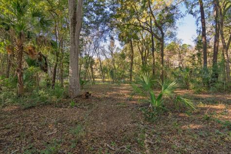 8356 Crooked Creek Lane Edisto Island SC 29438