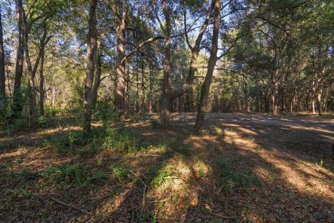 8356 Crooked Creek Lane Edisto Island SC 29438