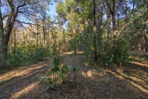 8356 Crooked Creek Lane Edisto Island SC 29438