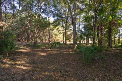 8356 Crooked Creek Lane Edisto Island SC 29438