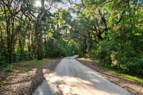 3566 Bohicket Estates Drive Johns Island SC 29455