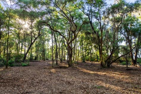 3566 Bohicket Estates Drive Johns Island SC 29455