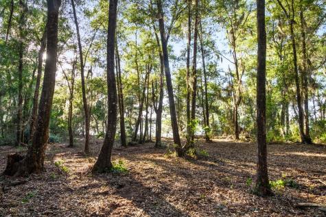 3566 Bohicket Estates Drive Johns Island SC 29455