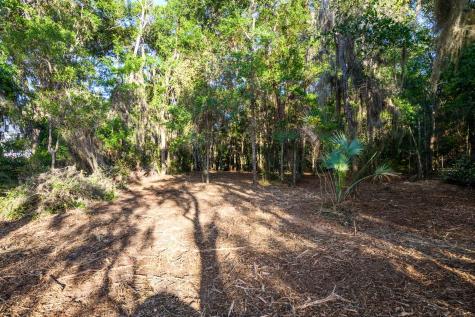 3566 Bohicket Estates Drive Johns Island SC 29455