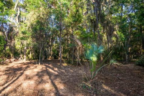 3566 Bohicket Estates Drive Johns Island SC 29455