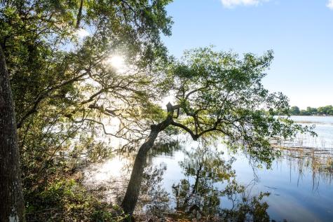 3566 Bohicket Estates Drive Johns Island SC 29455