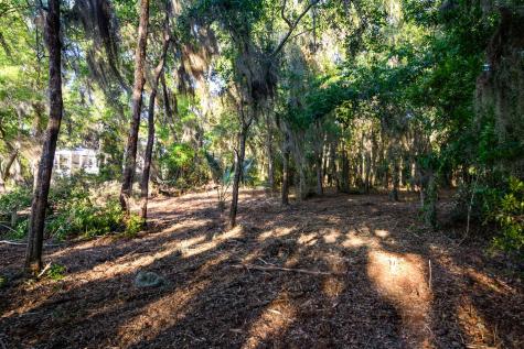 3566 Bohicket Estates Drive Johns Island SC 29455