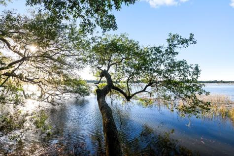 3566 Bohicket Estates Drive Johns Island SC 29455